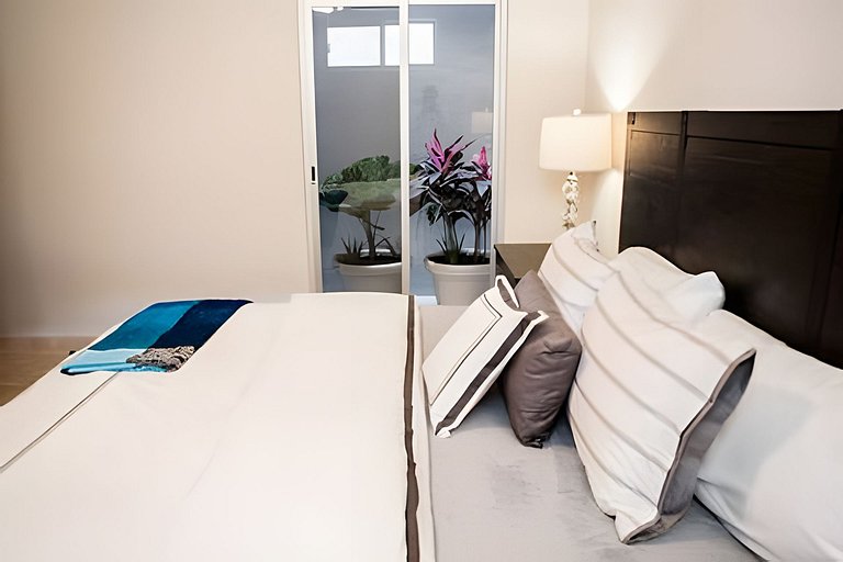 Vistas Increíbles desde el Corazón de Pedregal